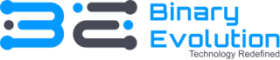 Binary Evolution